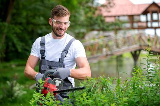 Jose Landscaping