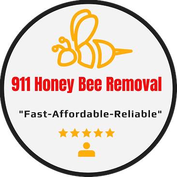 Professional Bee Removal Service From The Woodlands Texas