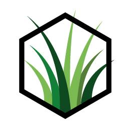 Artificial Grass Lawn Services Odessa, TX