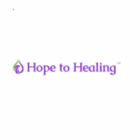 Healing Healers | H2 Foundation