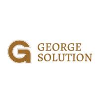 Georgesolution george  stonestone