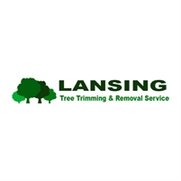 Lansing Tree Trimming & Removal Service tree removal  lansing mi
