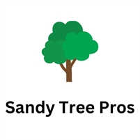  Sandy Tree Pros